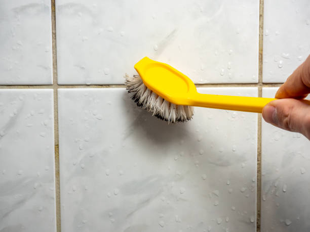 Best Office Mold Removal Services  in Meadow Les, AK