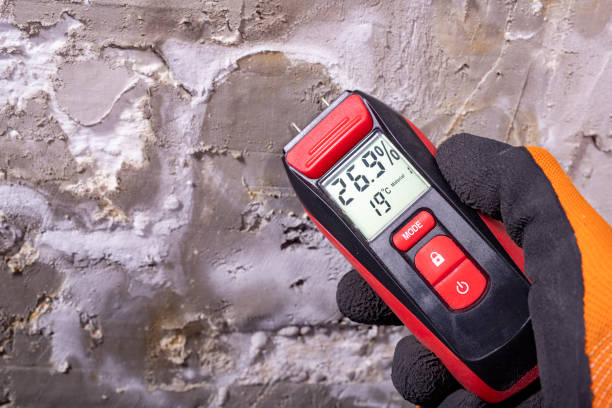 Best Attic Mold Removal  in Meadow Les, AK