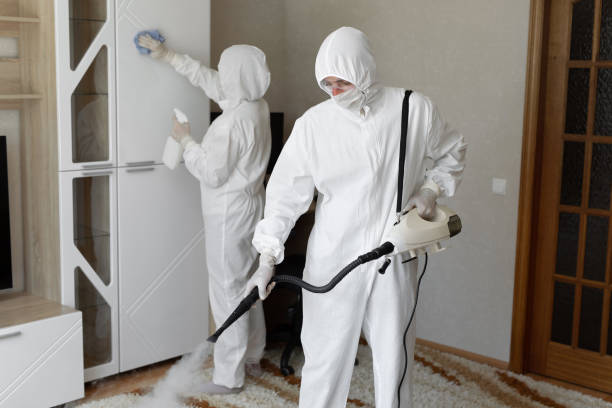 Mold Removal and Inspection in Meadow Lakes, AK