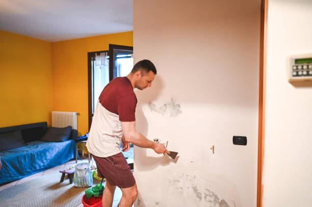 Best Black Mold Removal  in Meadow Les, AK