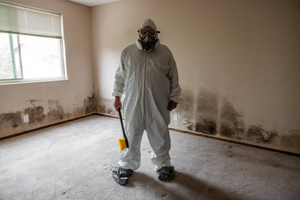 Best Professional Mold Removal  in Meadow Les, AK
